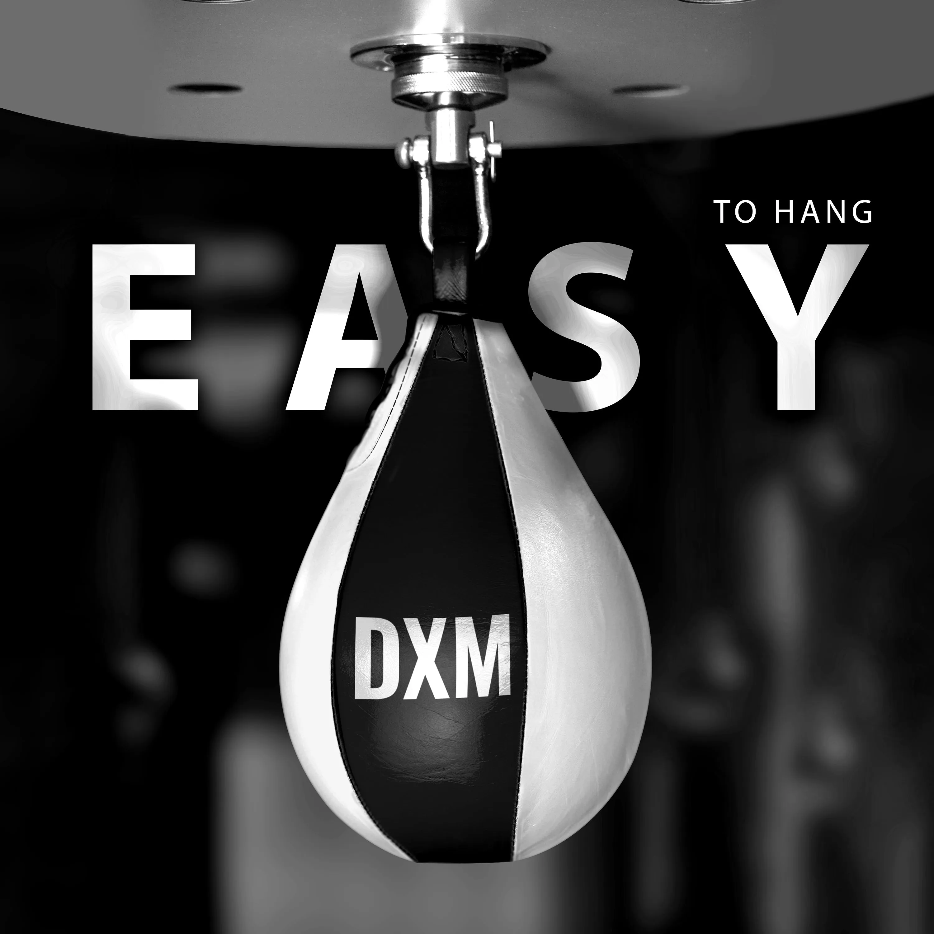 DXM Sports Boxing Speed Bag