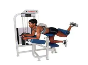 Refurbished Life Fitness Pro Glute