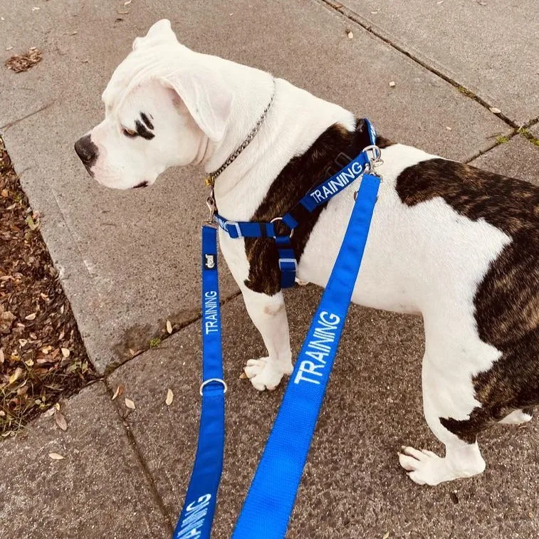 TRAINING - Multi Purpose Double Ended Lead