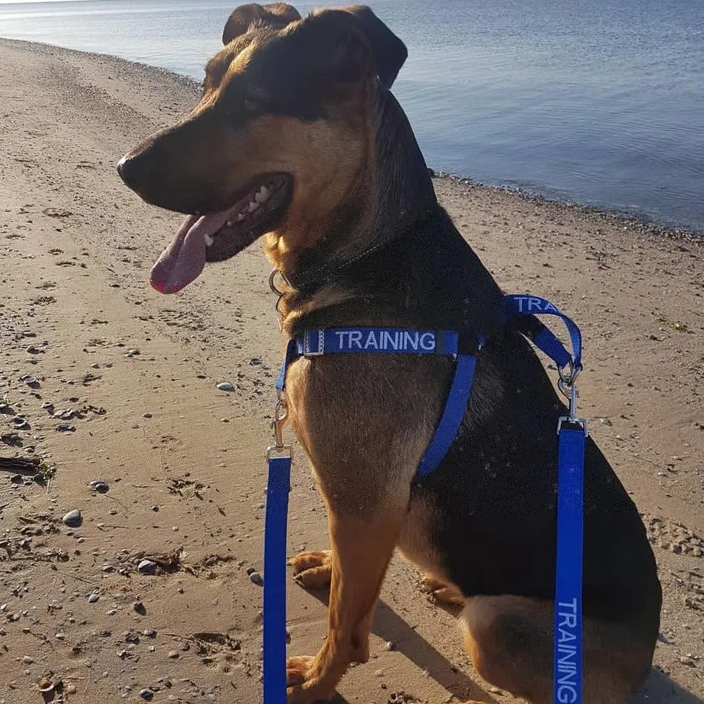 TRAINING - Multi Purpose Double Ended Lead